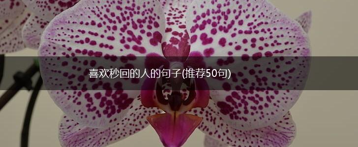 喜欢秒回的人的句子(推荐50句),第1张