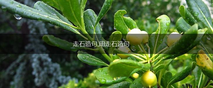走石造句,用走石造句,第1张