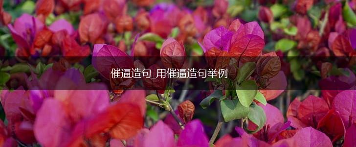 催逼造句_用催逼造句举例,第1张