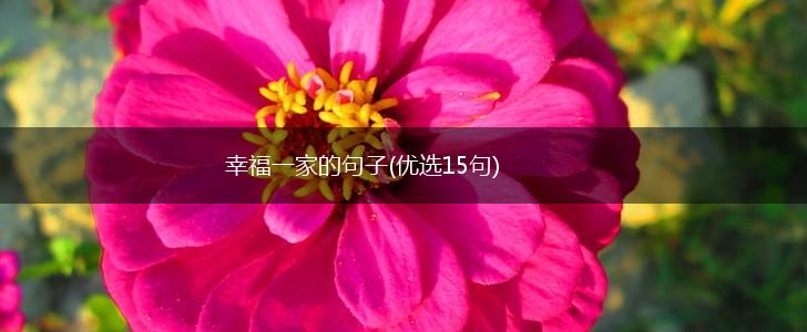 幸福一家的句子(优选15句),第1张