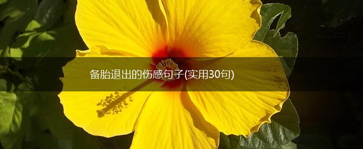 备胎退出的伤感句子(实用30句),第1张