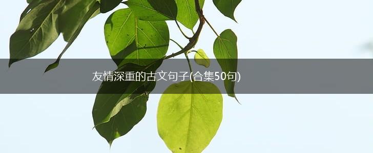 友情深重的古文句子(合集50句),第1张