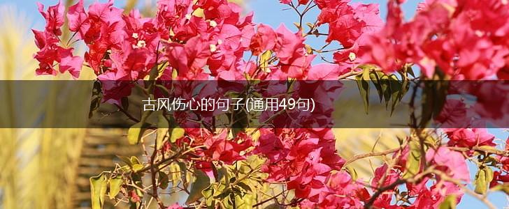 古风伤心的句子(通用49句),第1张