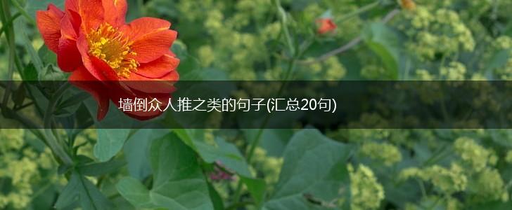墙倒众人推之类的句子(汇总20句),第1张