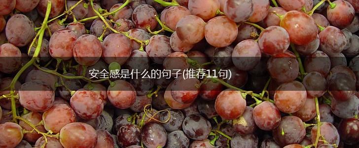 安全感是什么的句子(推荐11句),第1张