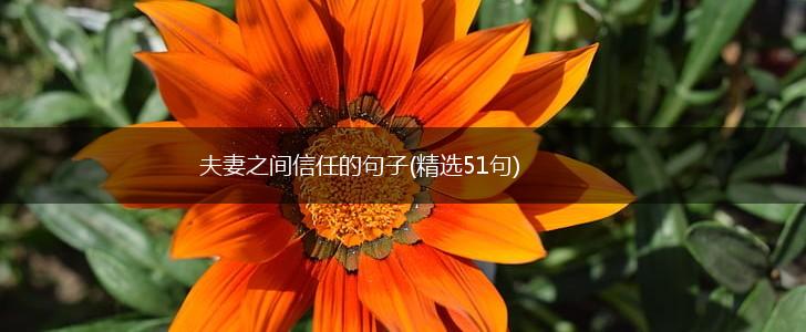 夫妻之间信任的句子(精选51句),第1张