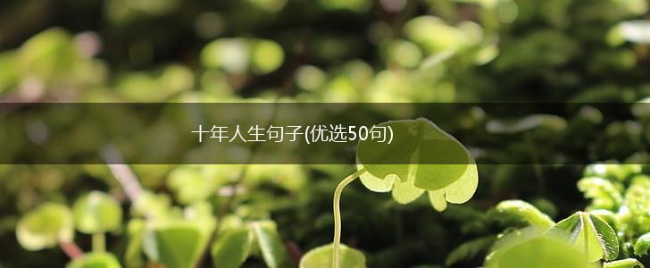十年人生句子(优选50句),第1张