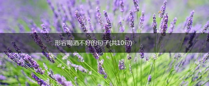 形容喝酒不好的句子(共10句),第1张