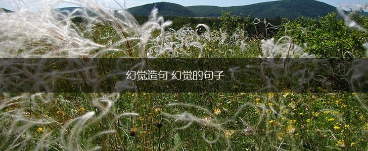 幻觉造句 幻觉的句子,第1张