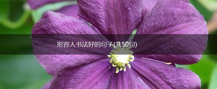 形容人书法好的句子(共50句),第1张