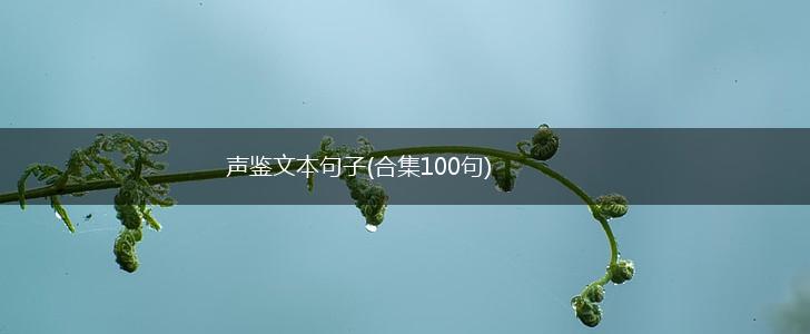 声鉴文本句子(合集100句),第1张