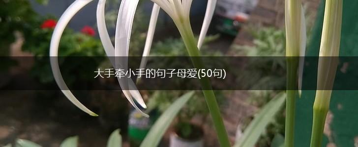 大手牵小手的句子母爱(50句),第1张