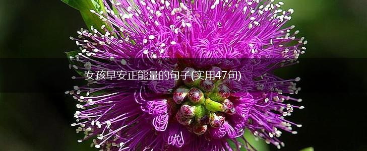女孩早安正能量的句子(实用47句),第1张