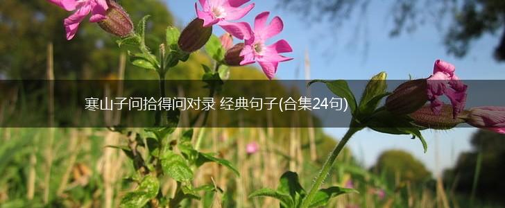 寒山子问拾得问对录 经典句子(合集24句),第1张