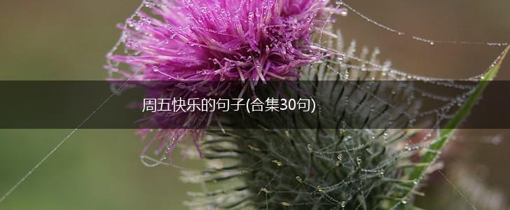 周五快乐的句子(合集30句),第1张