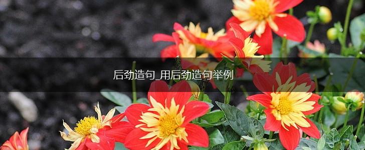 后劲造句_用后劲造句举例,第1张