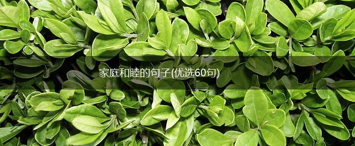 家庭和睦的句子(优选60句),第1张