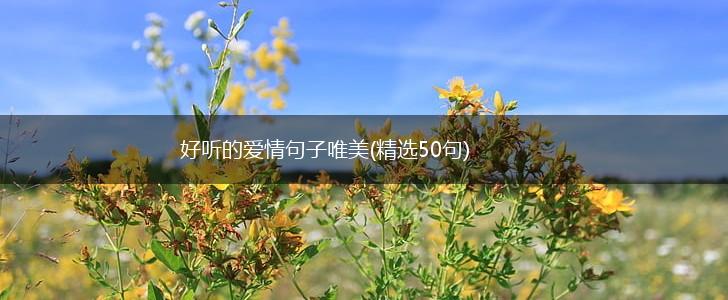 好听的爱情句子唯美(精选50句),第1张