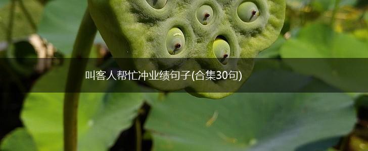 叫客人帮忙冲业绩句子(合集30句),第1张