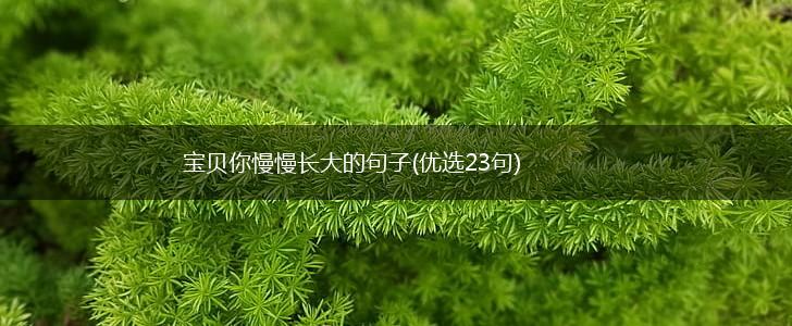 宝贝你慢慢长大的句子(优选23句),第1张