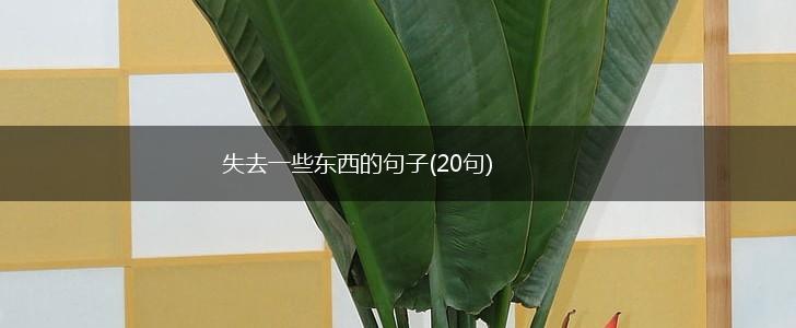 失去一些东西的句子(20句),第1张