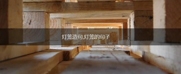 灯笼造句,灯笼的句子,第1张