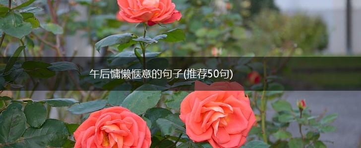 午后慵懒惬意的句子(推荐50句),第1张