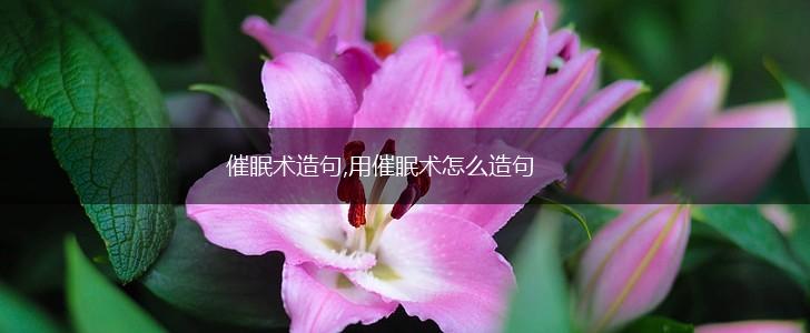 催眠术造句,用催眠术怎么造句,第1张