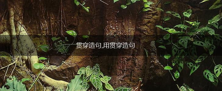 贯穿造句,用贯穿造句,第1张