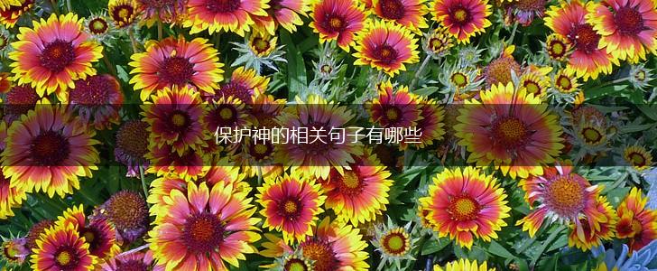 保护神的相关句子有哪些,第1张