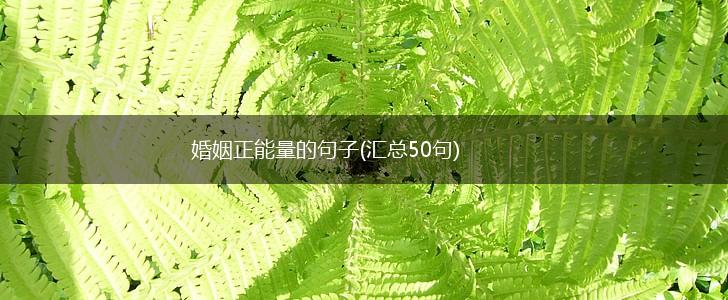 婚姻正能量的句子(汇总50句),第1张