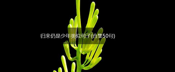 归来仍是少年类似句子(合集50句),第1张