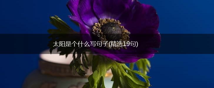 太阳是个什么写句子(精选19句),第1张