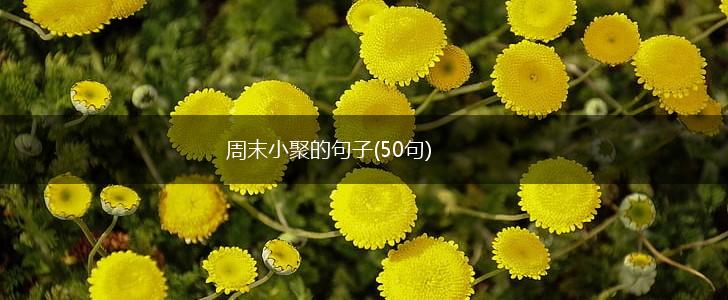 周末小聚的句子(50句),第1张
