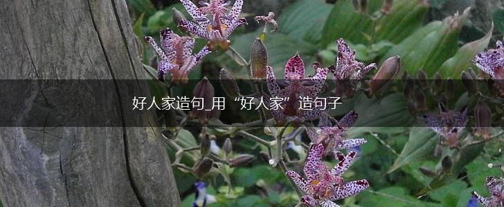好人家造句_用“好人家”造句子,第1张