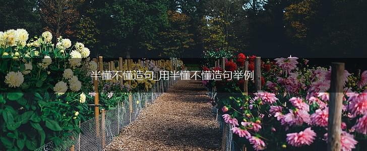 半懂不懂造句_用半懂不懂造句举例,第1张