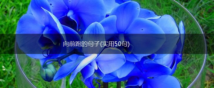 向前跑的句子(实用50句),第1张