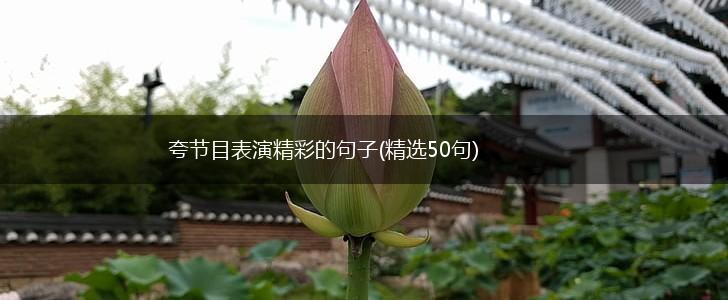 夸节目表演精彩的句子(精选50句),第1张