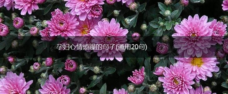孕妇心情烦躁的句子(通用20句),第1张