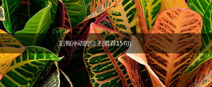 后悔冲动的句子(推荐15句),第1张