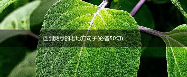 回到熟悉的老地方句子(必备50句),第1张