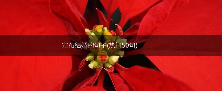 宣布结婚的句子(热门50句),第1张