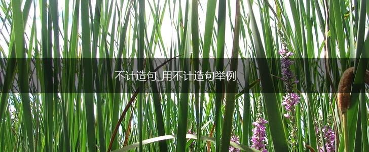 不计造句_用不计造句举例,第1张