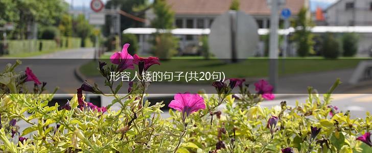 形容人矮的句子(共20句),第1张