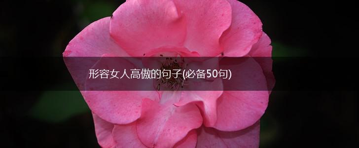 形容女人高傲的句子(必备50句),第1张
