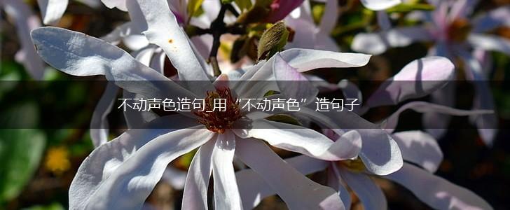 不动声色造句_用“不动声色”造句子,第1张