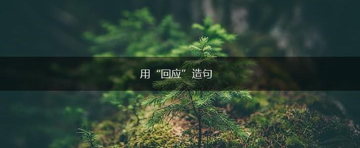 用“回应”造句,第1张