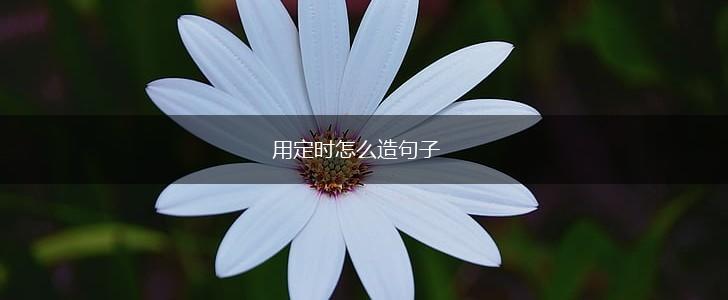 用定时怎么造句子,第1张