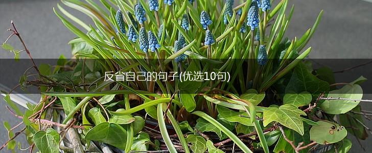 反省自己的句子(优选10句),第1张