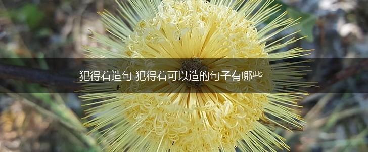 犯得着造句 犯得着可以造的句子有哪些,第1张
